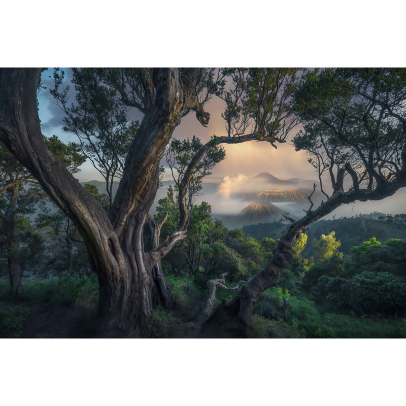 Wrapped Canvas Print, 60.96 cm H x 91.44 cm W