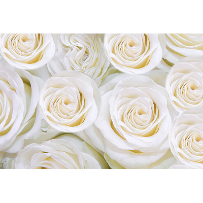 Fond de douces fleurs blanches roses. T par Maestrovideo - Photographie sur toile tendue