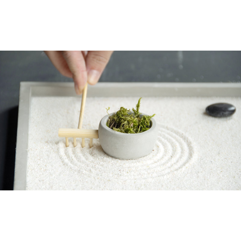 Zen Garden, 3.4cm H x 20cm W x 20cm D