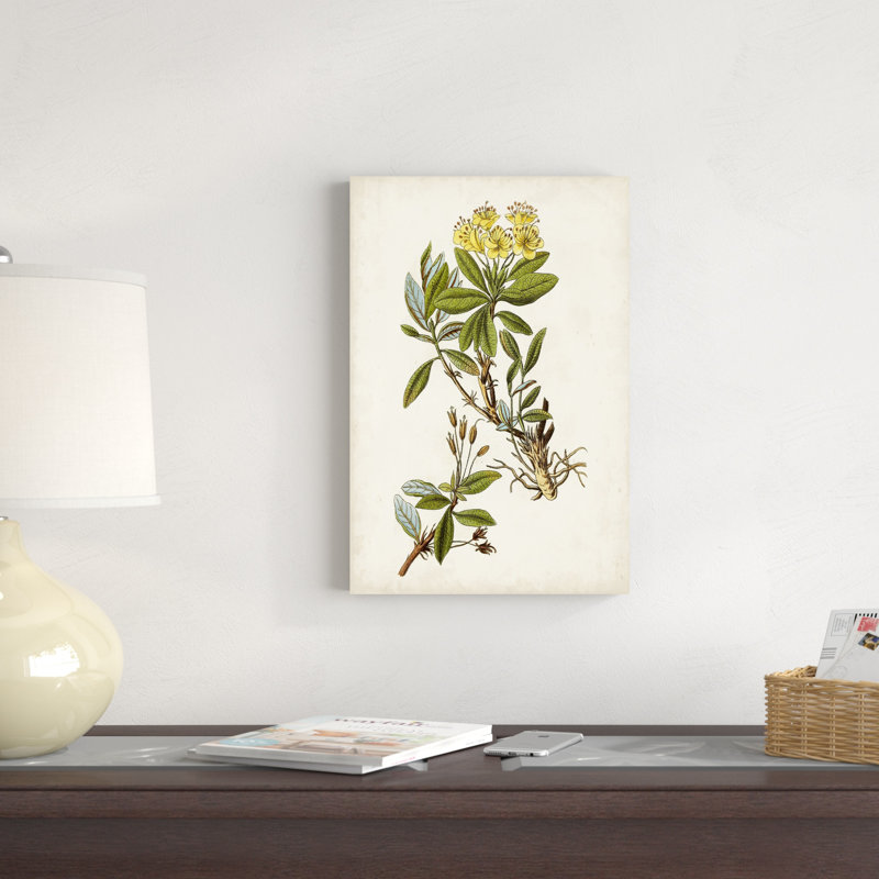 Étude botanique antique IV, H 18 po x l 12 po x P 1,25 po
