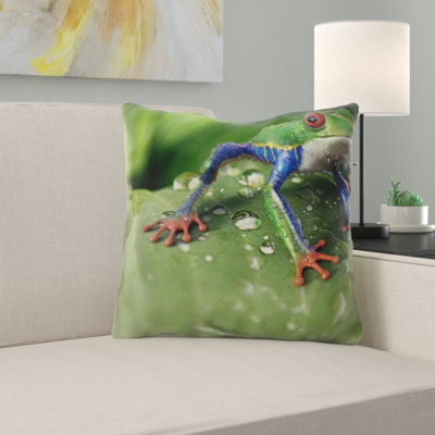Coussin de grenouille