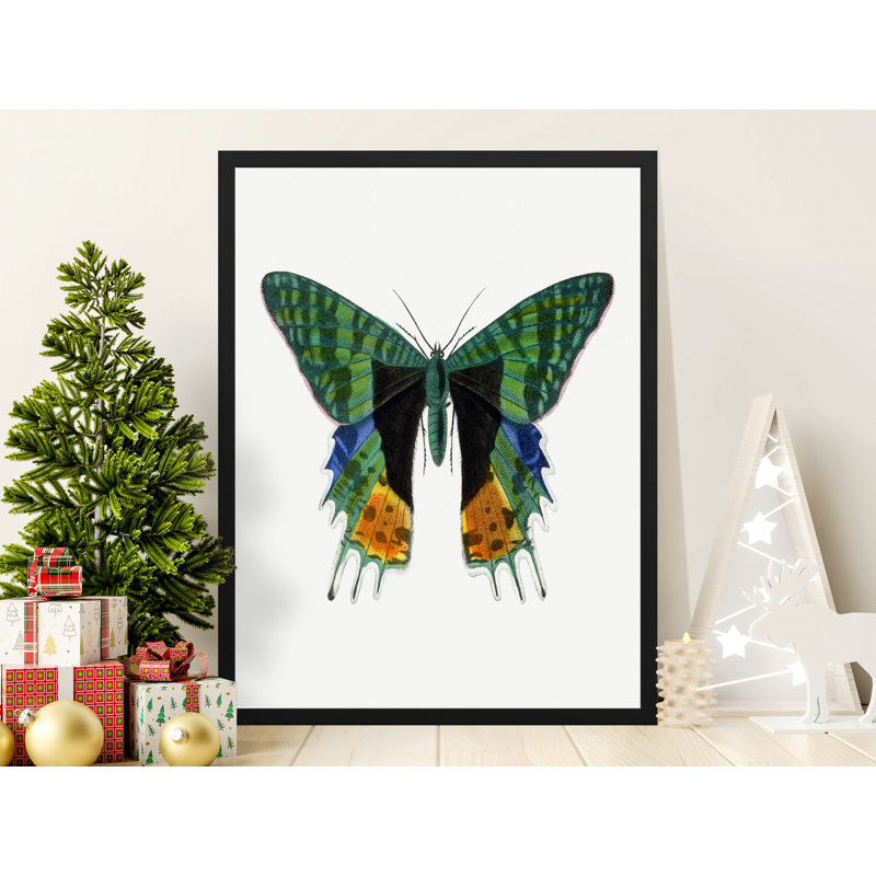 Chariah Single Picture Frame Print, 30.48cm H x 20.32cm W
