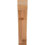 Attelle de genou Legacy-64751483-64784714