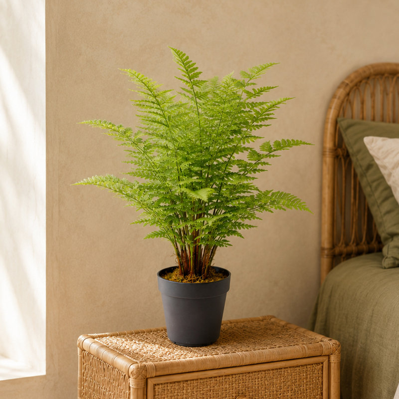 Anarah 75cm Faux Yucca Tree in Pot Liner