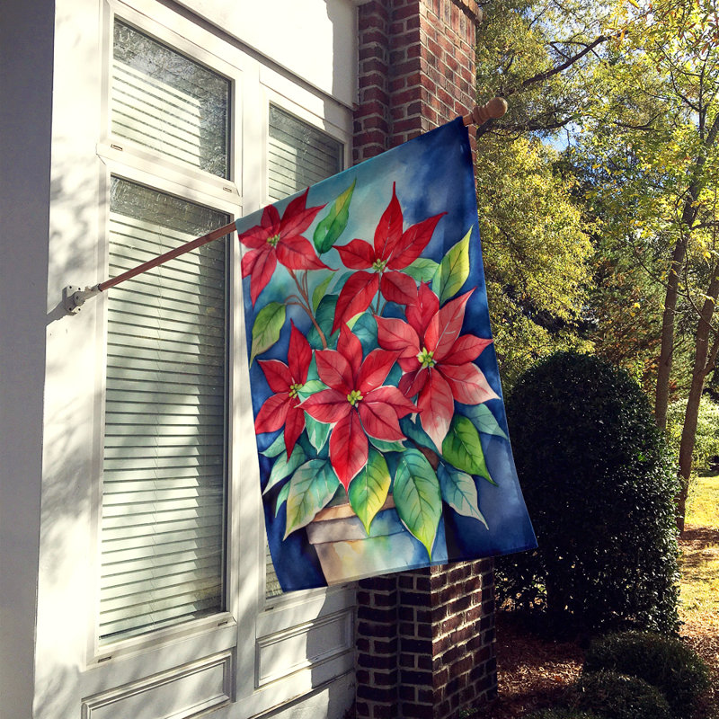 Drapeau de la maison, Poinsettias