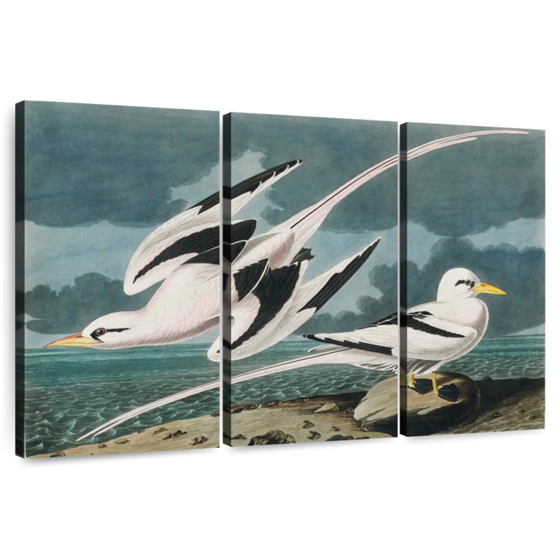 Brampt Tropic Bird, 32" H x 50" W