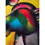 Art moderne cheval aimant | Acrylique sur toile | Par Samir Chanda