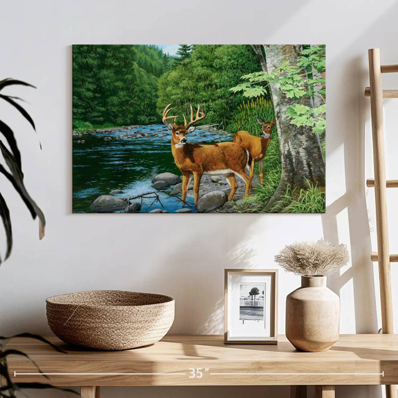 Cerf de Virginie Brampt Streamside, H 16 po x l 24 po
