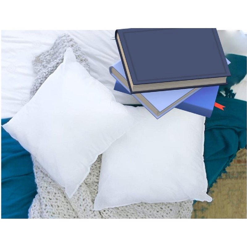  Outdoor Square Pillow Insert, Square 20"