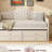 Twin Size Daybed with Trundle and 2 Storage Drawers, Wooden Sofa Bed with Upholstered Button Tufted Backrest-1854109869