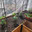 Photos des clients 1 de 4