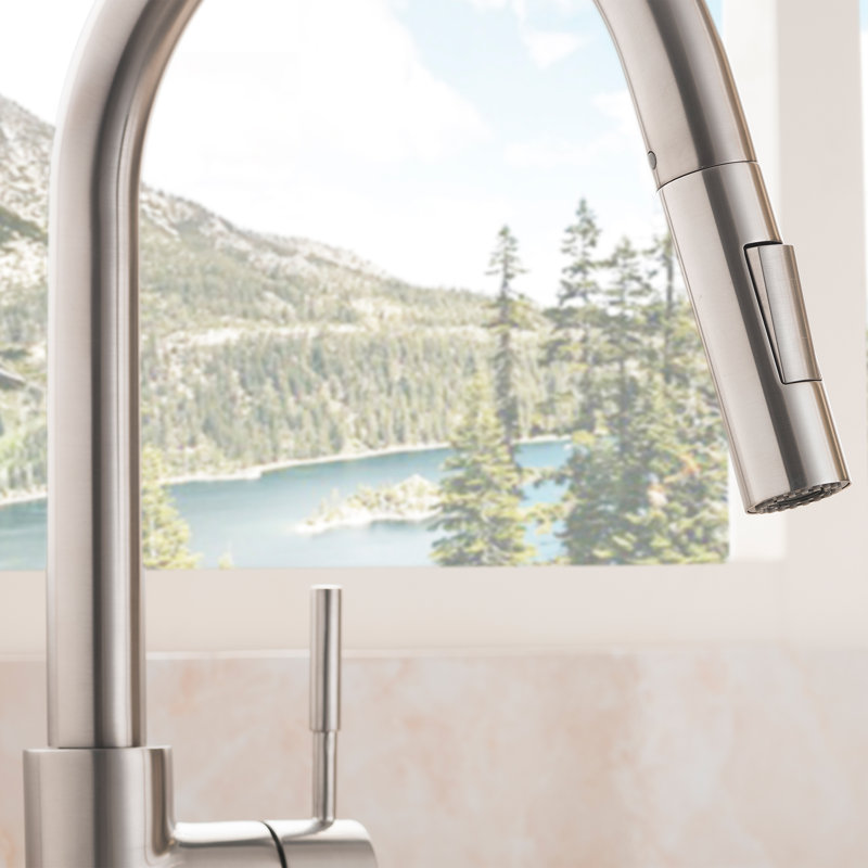 Gemini Single Handle Kitchen Faucet with Side Spray and Accessories, Brushed Nickel