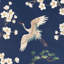 Kravet Design - W4207-816-45378538