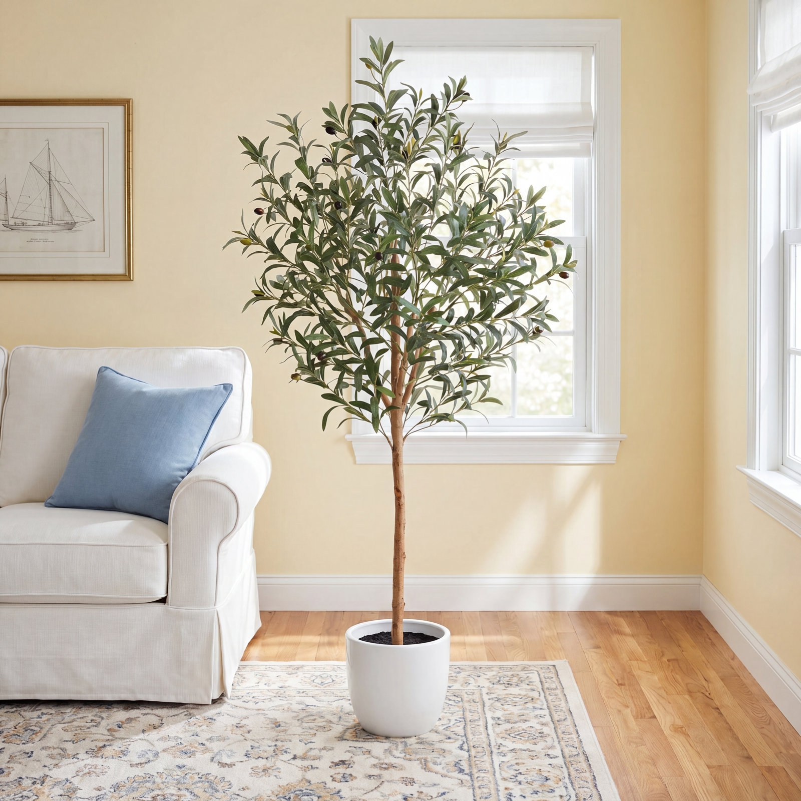 Ashwell Olive Plant in Pot, 60" H x 26" W