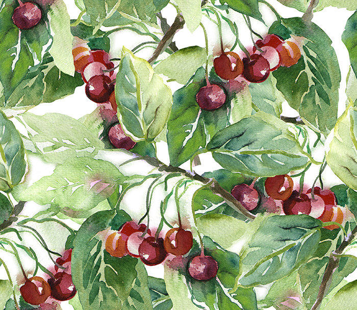 Khobi 2.5m x 2.5m Matte Mural, 152 x 104cm