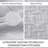 Floral Embossed Quilt Set-125093299-125093302