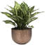 Handmade Metal Pot Planter