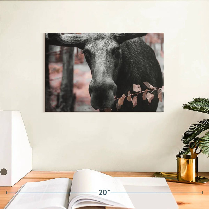 Black Moose, 8" H x 12" W