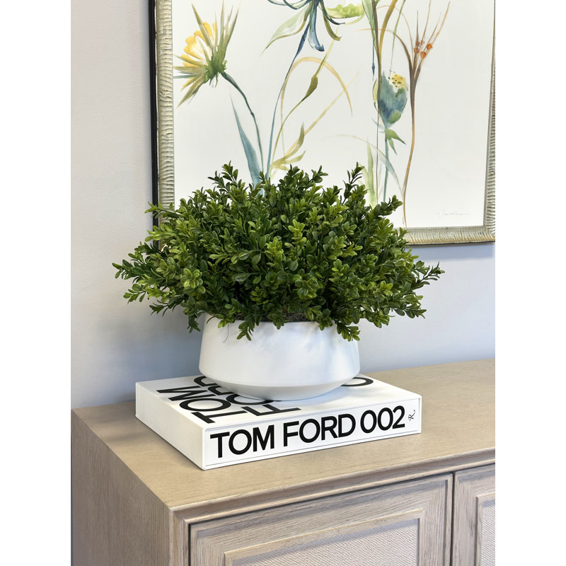 15'' Faux Boxwood Plant in Ceramic Pot