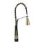 Belfry Kitchen Dunfee Pull Out Kitchen Faucet-453450917