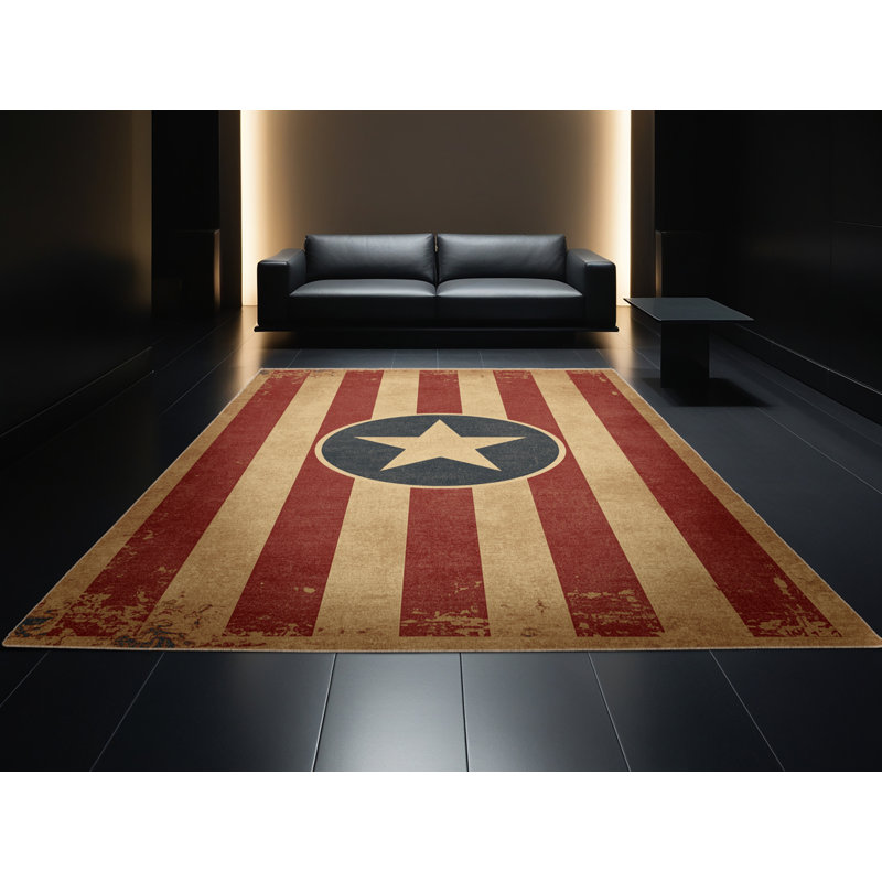 Soft Plush Etamin July 4Th Modern & Contemporary Abstract Area Rug in Brown – Beige Binding, 2x5