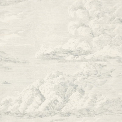 Cloud Toile Fabric