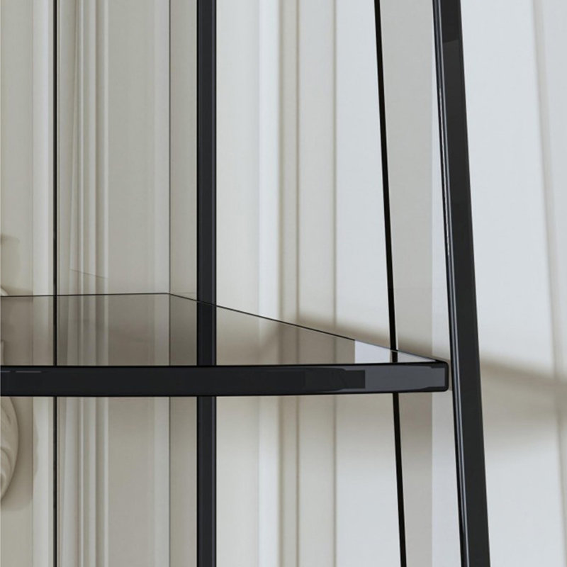 Simple and modern acrylic triangular bookcase, Black