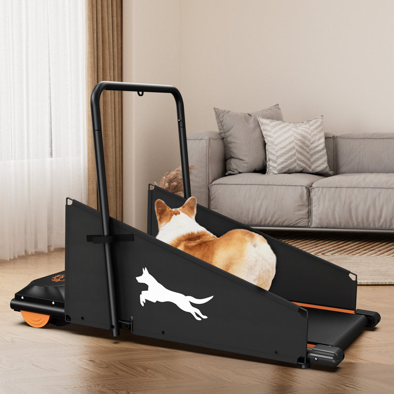 Tapis roulant pour chien pour la santé des animaux de compagnie actifs - 1 plage de vitesse de 10 km / h, moteur de 1,5 ch, faible bruit, écran multifonctionnel, puissance de bruit des chiens de petite et moyenne taille de 42 lb, 0,5 6,5 mph, affichage 