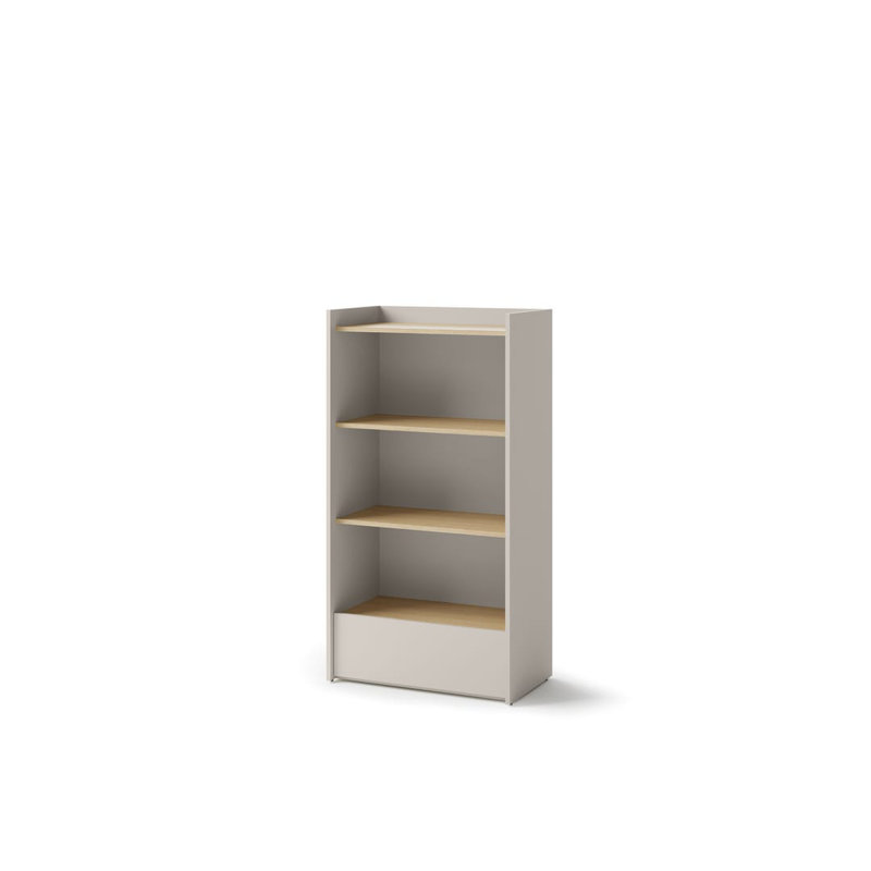 Anjuman 132cm H x 70cm W Standard Bookcase