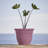 Traditional Self-Watering Plastic Indoor/Outdoor Pot Planter-1921265536-1987602730