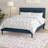 Virginia Platform Bed with Squared Tapered Legs-27773077-27773078