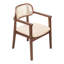 Chaises de salle à manger en PE avec assise rembourrée et structure en bois PE-125490483-118705390
