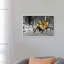 Angry Bull by David Gardiner - Print on Canvas-850257594-850257595