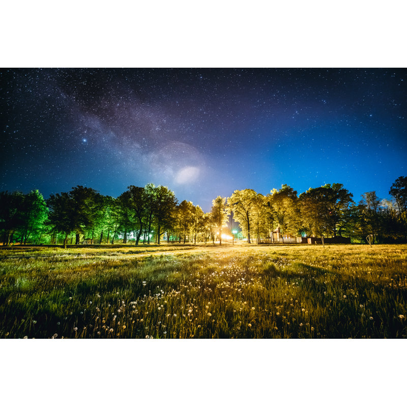 Green Trees, Woods by Bruev - Wrapped Canvas Print, 30cm H x 46cm W
