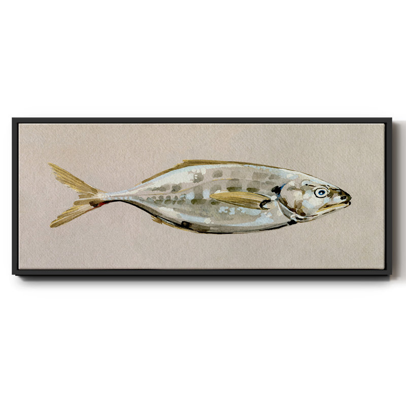 «Fresh Fish Study I», toile encadrée de qualité supérieure - prête à être accrochée, Toile encadrée noire
