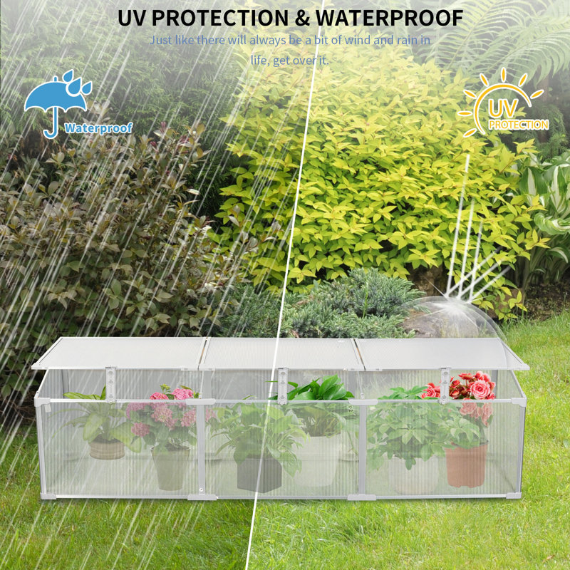 Serre en polycarbonate pour l'extérieur en hiver