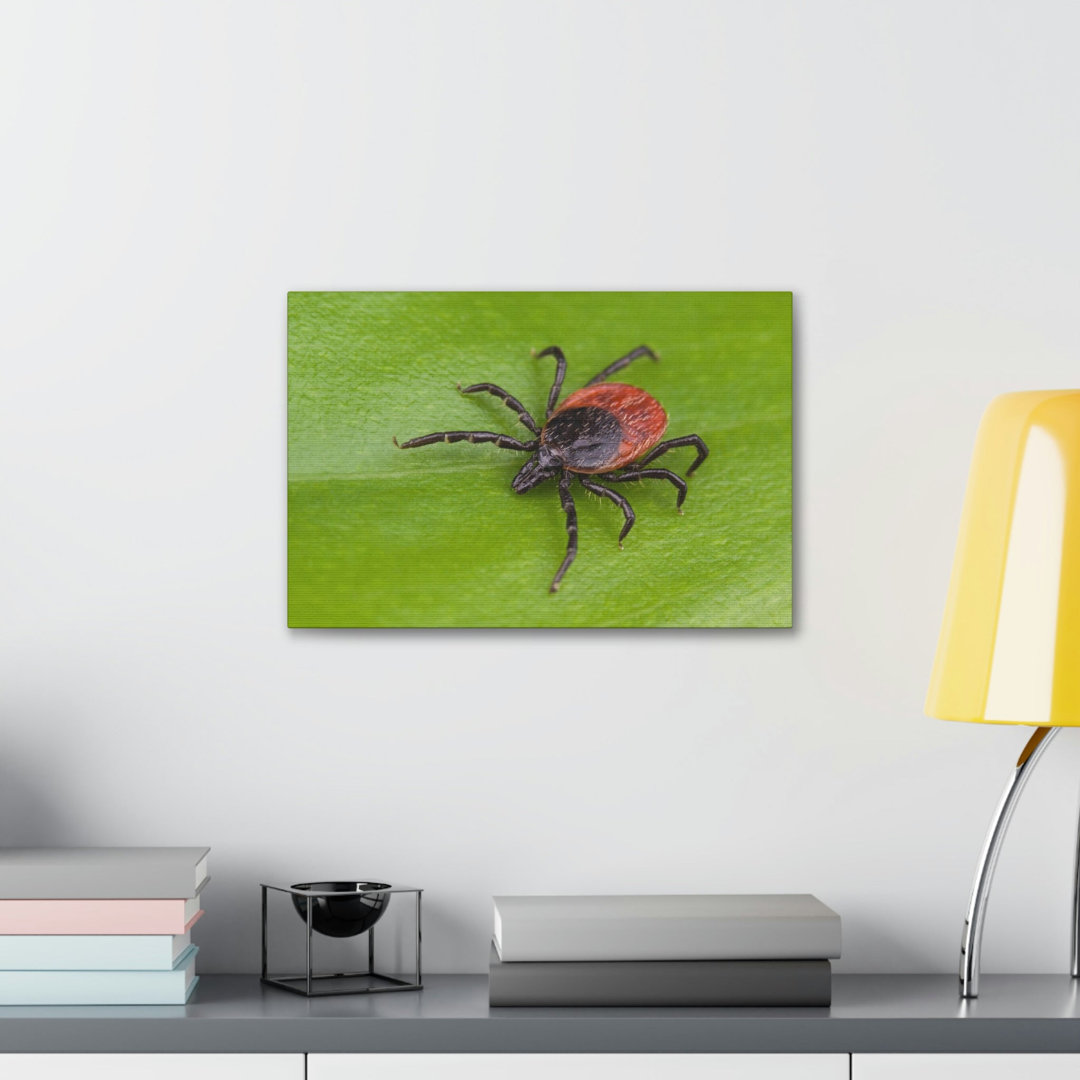 No Frame Print on Canvas