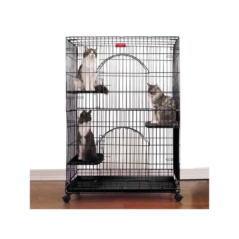 Cage pour chat avec roue Rosemond, Noir