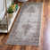 Oriental Indoor Rug
