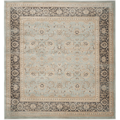 Arnav Performance Oriental Rug