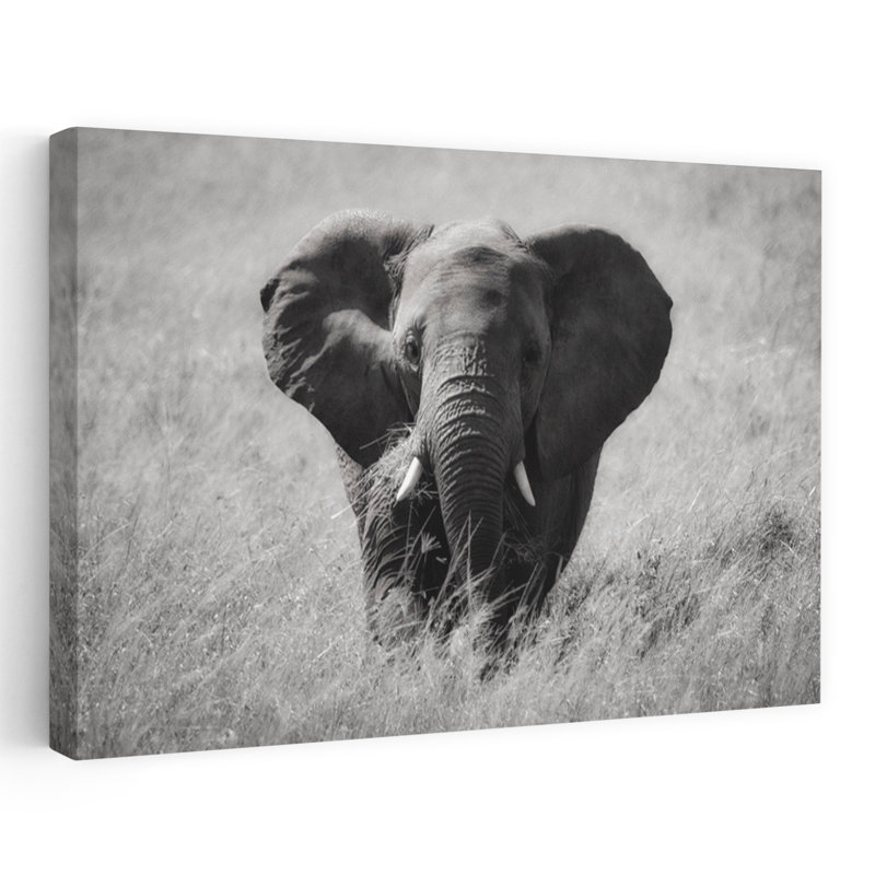 Art contemporain, art contemporain abstrait éléphant, H 32 po x l 48 po