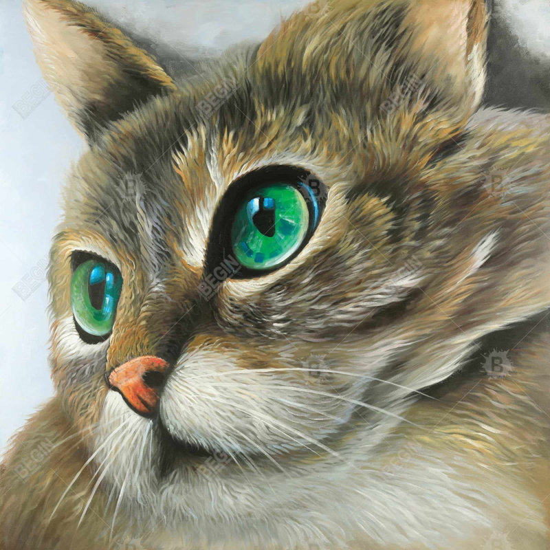 «Peaceful Cat Portrait» sur toile
