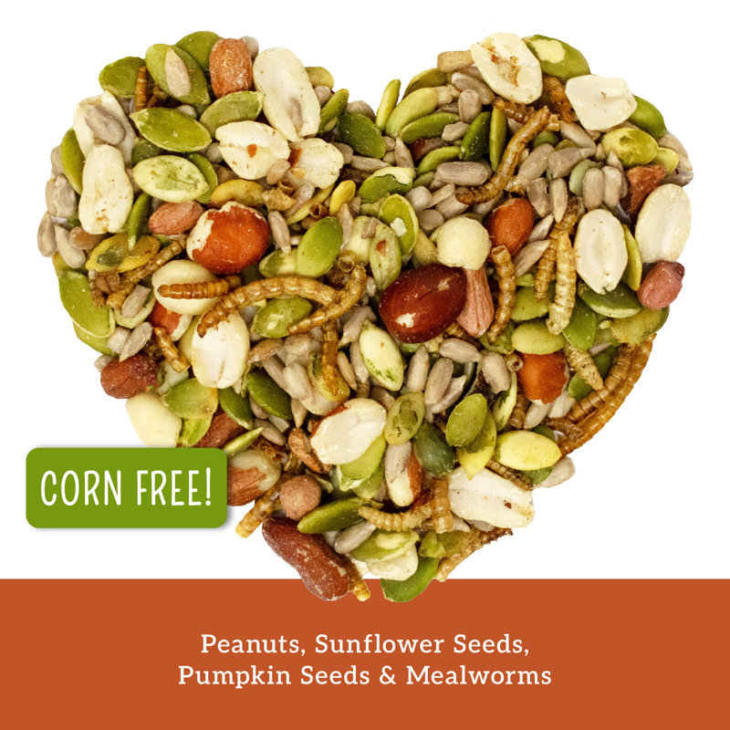 Love My Girls: Chicken Snacks - Pumpkin & Worms