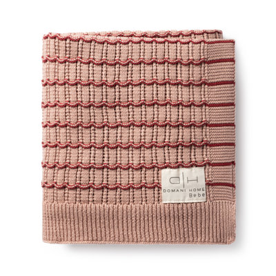 Striated Scallop