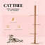 Arbre à chat du sol au plafond-132923010-132923011
