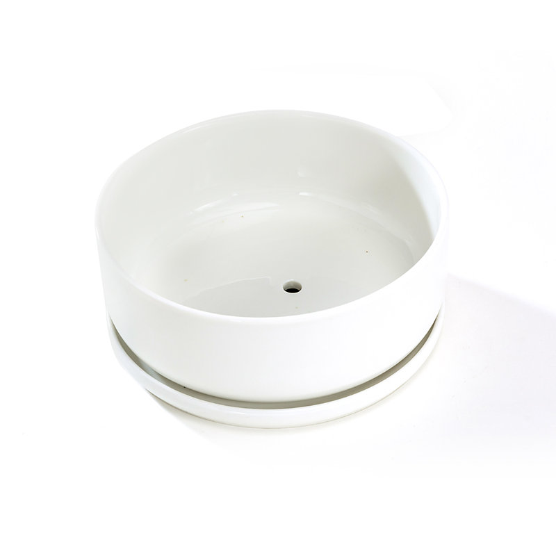 Archie-Jay Ceramic Pot Planter