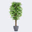 Pots à plantes ronds artificiels avec plateau en ficus artificiel et résine-36178604-34553685