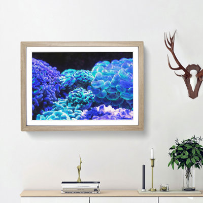 Neon Coral - Picture Frame Graphic Art Print