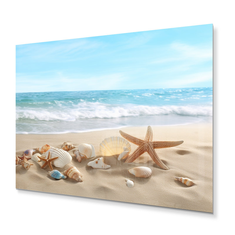 Étoile de mer et coquillages V sur une photographie en métal, H 30 po x l 40 po x P 1 po