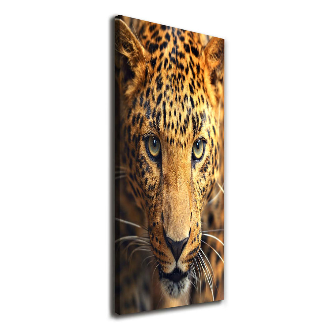 Leopard - Kunstdrucke auf Leinwand - Wrapped Canvas